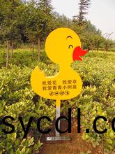 蘤(hua)草牌山東