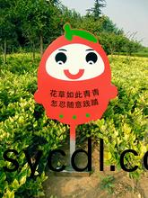 山東草地(di)牌子